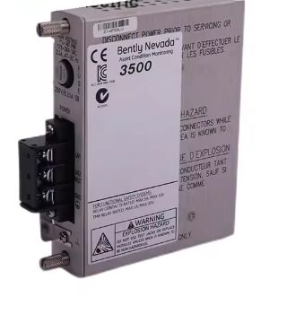 Bently Nevada 3500/20-01-02-00 125768-01  Series RIM I/O Module for Real-time Monitoring with Seamless 3500 Series Integration
